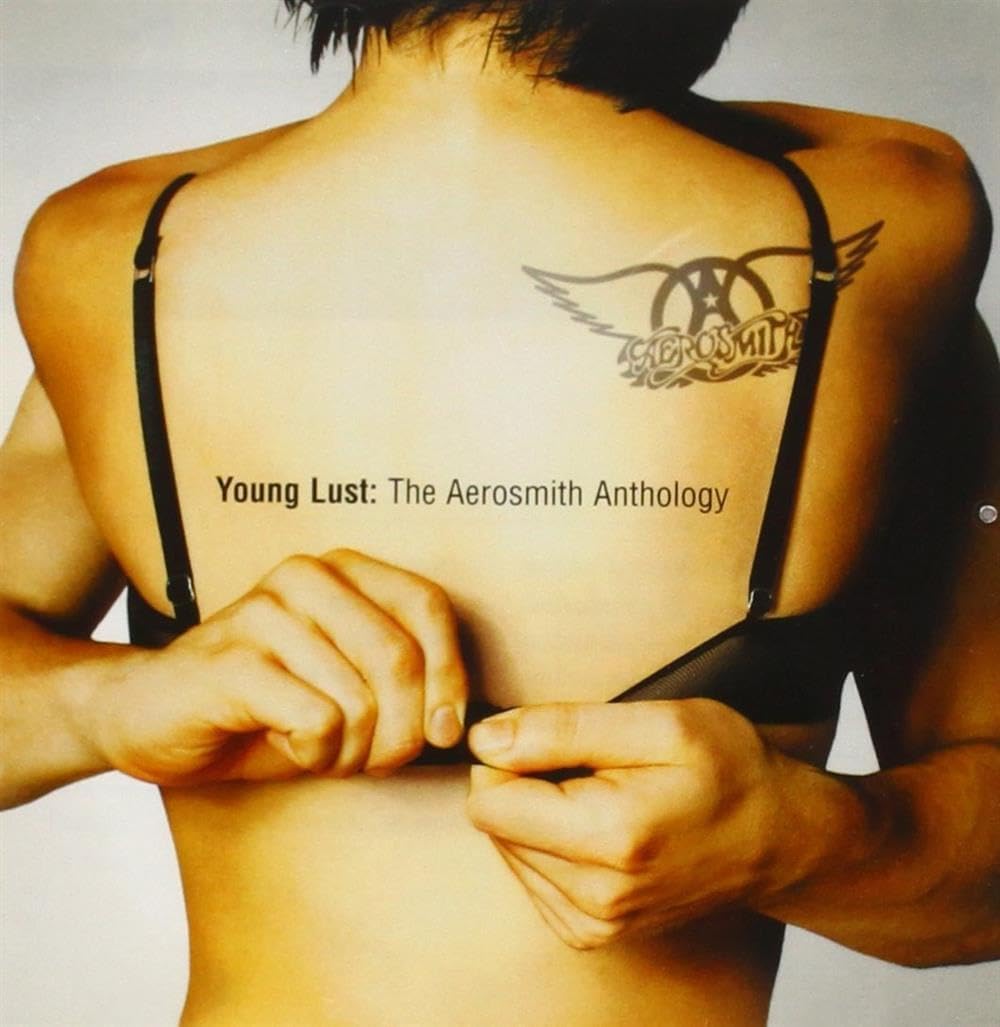 Aerosmith Young Lust: The Aerosmith Anthology CD