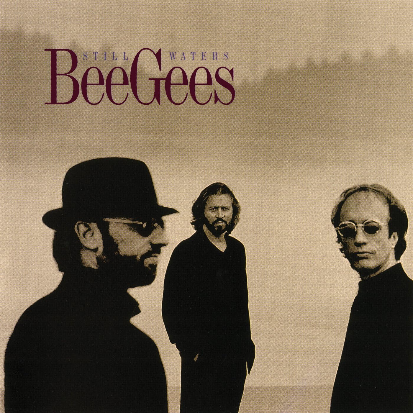 CD cover art featuring three members of the Bee Gees in a outdoor setting with a body of water and trees in the background.