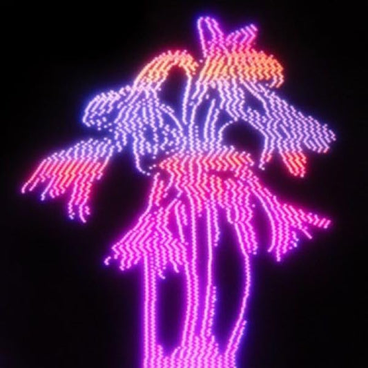 Neon light display of a plant with multiple branches, possibly representing the cover art for the Enter Shikari DANCING ON THE FRONTLINE CD.