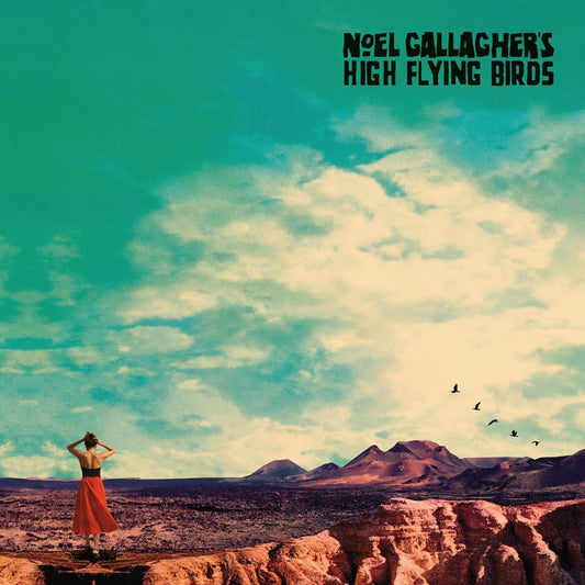 Album cover with a person standing on a cliff overlooking a desert landscape with mountains and birds flying, featuring 'Noel Gallagher's High Flying Birds' text.