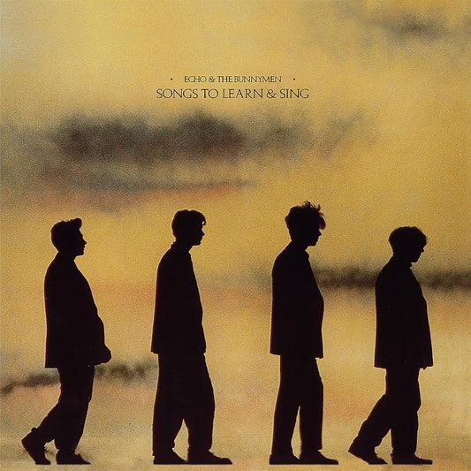Silhouette of four individuals walking in a line with a backdrop suggesting either a sunset or sunrise. The individual in the center is slightly ahead and appears to be looking towards the camera.